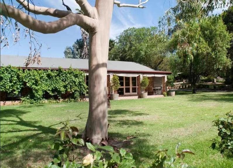 Blickinstal Barossa Valley Accommodation Luaran gambar