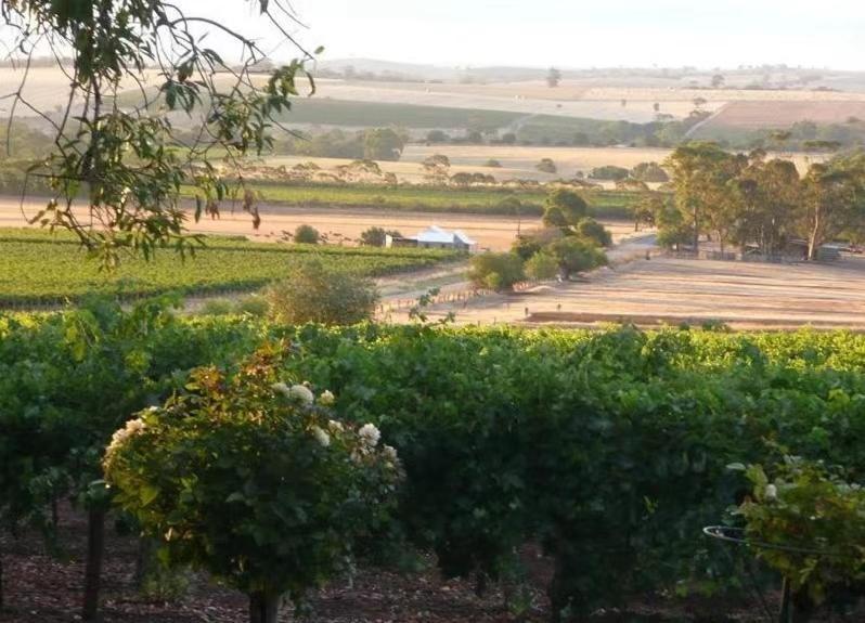 Blickinstal Barossa Valley Accommodation Luaran gambar