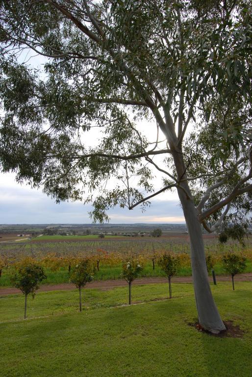 Blickinstal Barossa Valley Accommodation Luaran gambar