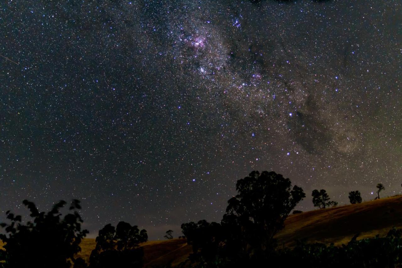 Blickinstal Barossa Valley Accommodation Luaran gambar